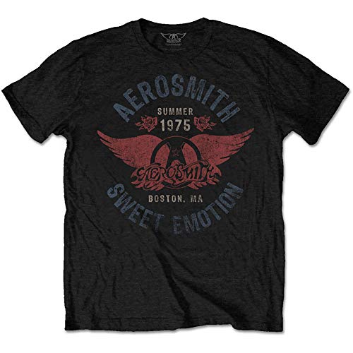 Aerosmith AEROTS02MB03 T-Shirt, Black, Large