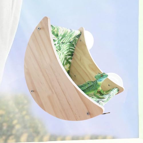 Oooct Rede de Janela de Dragão Barbudo, Cama de Janela de Lagarto, Prateleiras de Lua de Dragão Barb