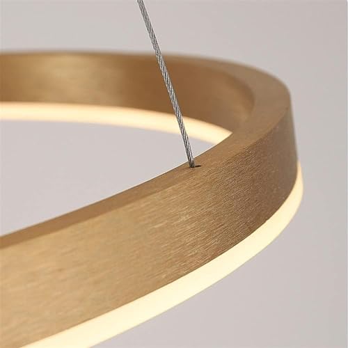 Lustre moderne brossé pour ajuster la lumière sans se déplacer - 7