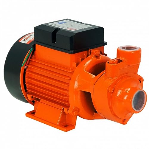 Intech Machine Bomba D'Água Periferica 1Hp Bp1000 (Bivolt)