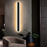 Modern Outdoor Wall Light Fixtures, 47 inches Dimmable Light Wall Mounted Simple Long Strip Acrylic