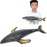 LOVNBHELP 16 Inch Oversized Humpback Whale Toy, Soft Filled Rubber Simulated Marine Animal Action Figure, Realistic Large Ocean Sea Life Educational Play Toy for Kids Boys Girls