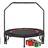 LIFERUN Trampolino Indoor 101 cm, Pieghevole per Fitness, Capacità di Carico 150 kg, Corrimano Regolabile in Altezza, Allenamento di Resistenza, Per Diversi Gruppi di Persone, Rosso