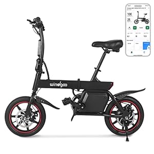 Windgoo Elektrische pedaal assisteert fiets, opvouwbare elektrische fiets, 36 V, 7,5 Ah, voor volwassenen en jongeren…