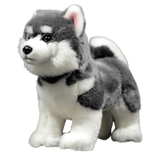 lilizzhoumax AXJ ʂ AȌ̂ʂ X[p[\tgʂ ̎q̂ qp  (O[ 11C`) M