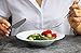 Amuse- Professional Gourmet Porcelain Pasta Plate- Set of 6 (Pasta Plate)
