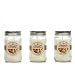 Bulk Buy. Hosley's Set of 3, Coconut Macaroon Scented Mason Jar Candles 11oz Each. Ideal votive GIFT for party favor, weddings, Spa, Reiki, Meditation, Bathroom settings
