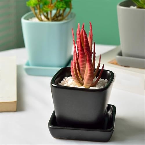 Pot de fleurs en céramique de table haute qualité avec plateau intégré - 5