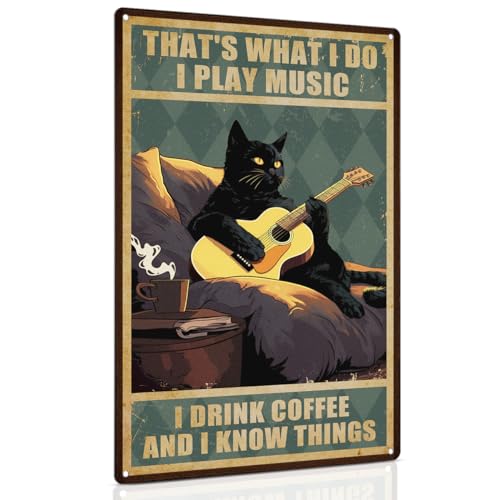 ALKB Guitar Art Black Cat Sign - Thats What I Do I Play Guitar and I Know Things 8x12 Inch...