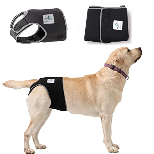 Dono Einwegwindeln Für Rüden - Mit Nässeindikator Und 3D-Kontur Für Bessere Absorption