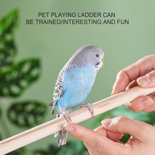 Échelle de cage à oiseaux avec crochet rotatif 360 pour perruche et conure