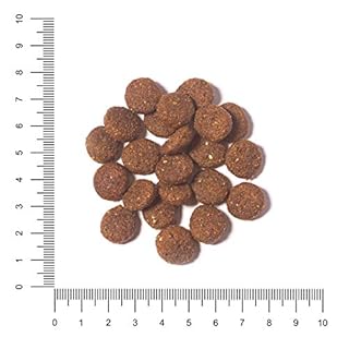 The Hunger of the Wolf Cibo secco per cuccioli e cani giovani di tuttle le razze, linea delicata senza cereali a base di riso e agnello - 14 kg