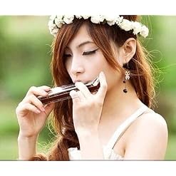 KMDSM Harmonica, harmonica 12 trous, 12 trous, harmonica professionnel juvénile adulte, noir, argent (silver est l… - Les Beatles, Paul McCartney, John Lennon, RIngo Starr, George Harrison KMDSM Harmonica, harmonica 12 trous, 12 trous, harmonica professionnel juvénile adulte, noir, argent (silver est l… – Image 3