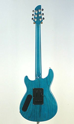 Amazon | Fernandes APG-DLX JPC 2014 TRB | エレキギター | 楽器
