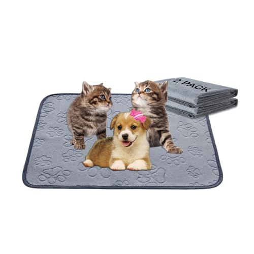 Qeils Washable Puppy Pads Whelping Reusable Pee Pads (2-Pack) 18″x24″Absorbent Leakproof Mat Puppy Litter Box, Potty, Home Travel or Crate Training Dog Wee Wee Pads Qeils Washable Puppy Pads Whelping Reusable Pee Pads (2-Pack) 18″x24″Absorbent Leakproof Mat Puppy Litter Box, Potty, Home Travel or Crate Training Dog Wee Wee Pads