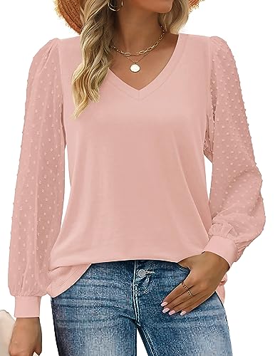 Zeagoo Women's Fashion Tops Long Sleeve Casual V Neck Shirts