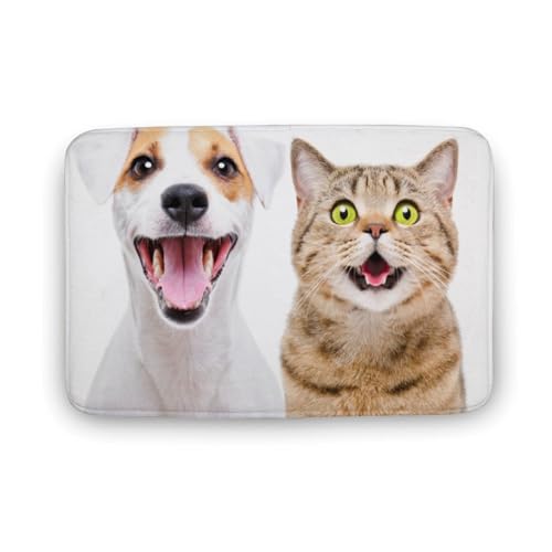 Č  L  oX}bg   z փ}bg  O   傫 ~ Aj LN^[ @}bg   ʏ