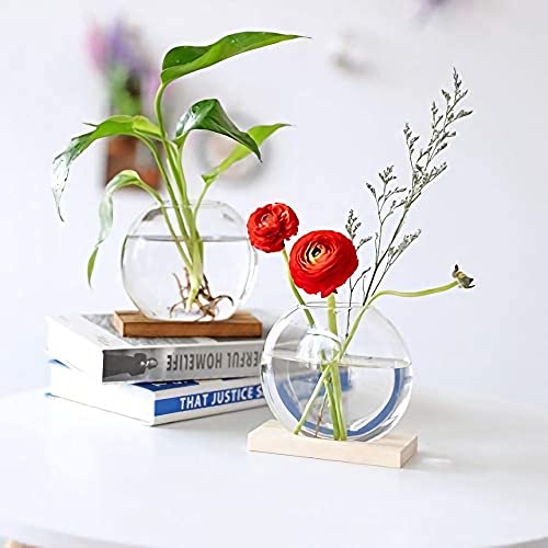 Kingbuy Desktop Round Glass Planter Terrarium Flower Vase With Wooden Stand For Propagation Small Hydroponic Plants Home Office Decor thumb #7