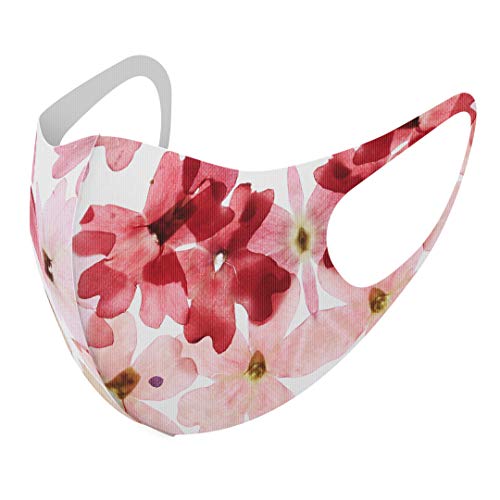 [X}R] fUC }XN QZbg |GXe 􂦂 z}XN jp 011258  t[ 