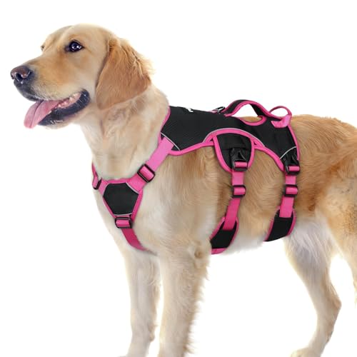 rabbitgoo Escape Proof Dog Harness Large Dogs, Soft Padded Full Body Pet Harness, Reflective Adjustable No Pull Vest with Lift Handle and Leash Clip for Walking Hiking Training, Pink & Black, L