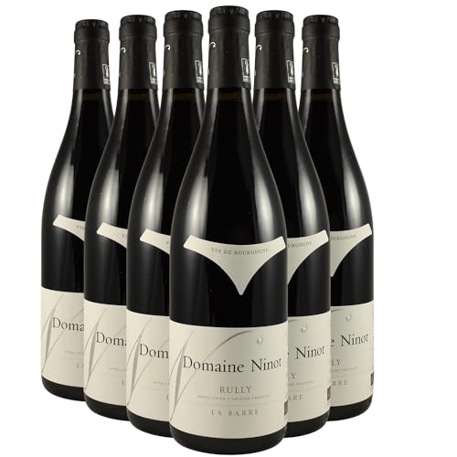 Rully La Barre Tinto 2021: Vino Orgánico Pinot Noir de Borgoña – Domaine Ninot Rully La Barre Tinto 2021: Vino Orgánico Pinot Noir de Borgoña – Domaine Ninot