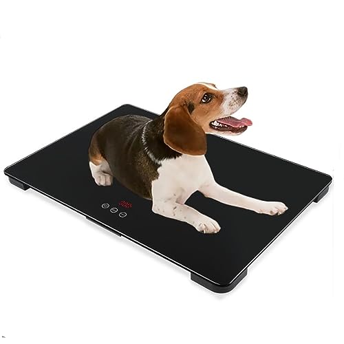 Báscula electrónica para animales TsoLay 220 lbs miniatura 1