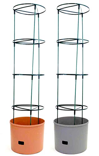 Preisvergleich Produktbild Bio Green Pflanzturm Maxitom Jumbo, terrakotta, 1 Stück