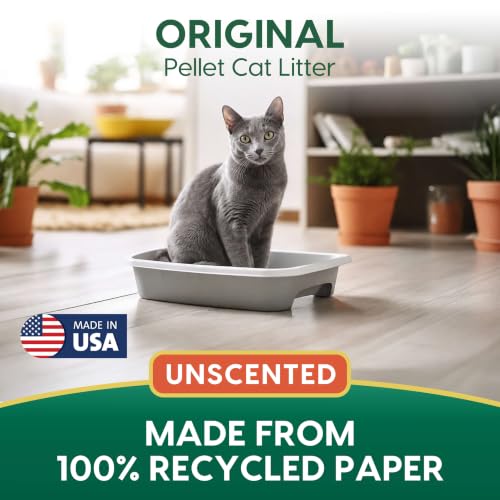 Image of Fresh News MAX Unscented Original Cat Litter, Non-Clumping, 20 lb