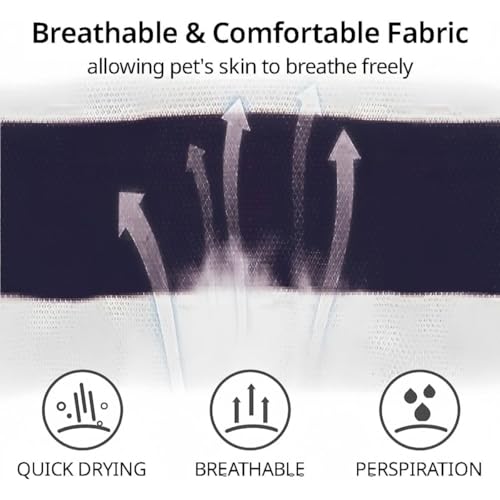 MANON ROSA Dog Clothes, Designer Boy Polo Shirt for Small Medium Dogs, Soft Puppy Outfit, Breathable Male Yorkie Chihuahua Shih Tzu Poodle Kitten Cat T-Shirt, Birthday Gifts - Blue, M, Fit 5.5-8.8lbs - Image 5