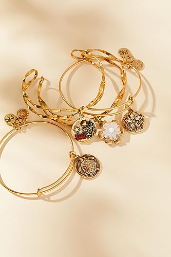 Alex and Ani Turtle Charm Bangle Bracelet, Shiny Gold Finish, 2 to 3.5 in3
