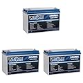 Weize 12V 100Ah LiFePO4 Lithium Battery, Built-in Smart BMS, Low Temperature Protection Group 31 Deep Cycle Battery for Trolling Motor, RV, Solar, Marine, Camping and Off Grid Applications (Pack of 3)