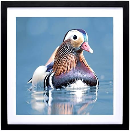 ZZFQXZ 40x40 Diamond Painting Picture Frame with Mat, 18x18 Diamond Art Frames, Display Pictures 16x16inch/40x40cm With Mat or 18x18inch/45x45 cm without Mat Diamond Painting Wall Photo Frame Wood Black (ZK007)