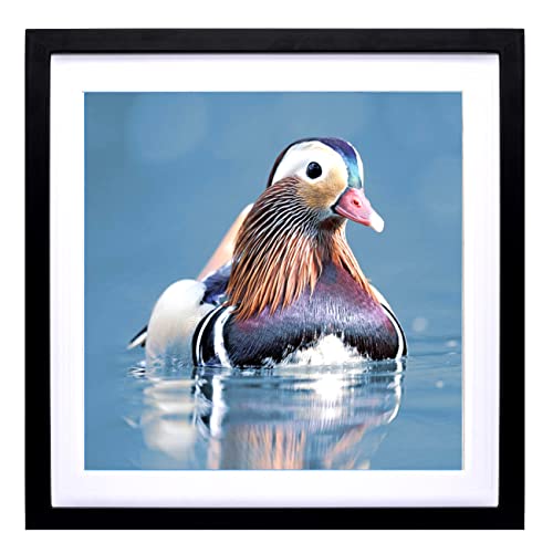 Zzfqxz 40X40 Diamond Painting Picture Frame With Mat, 18X18 Diamond Art Frames, Display Pictures 16X16Inch/40X40Cm With Mat Or 18X18Inch/45X45 Cm Without Mat Diamond Painting Wall Photo Frame Wood Black (Zk007) #TOP3