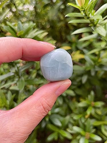 Image of GAF TREASURES 1 /2 LB Aquamarine Tumbled Stones, Polished Natural Aquamarine Gemstone, Aquamarine Healing Crystals (Aquamarine)