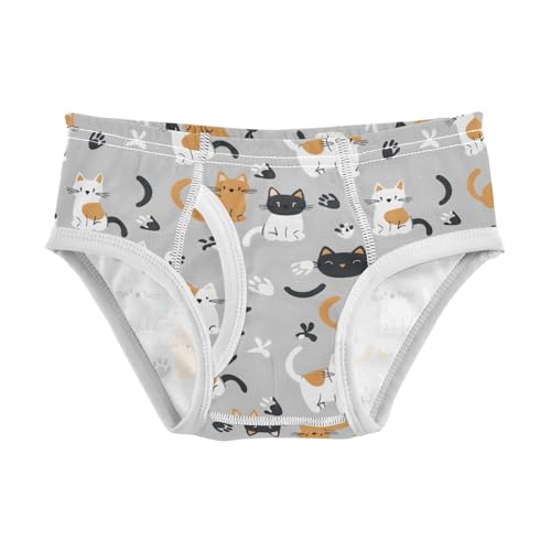 Cat and Gray Background Boys' Underwear 100% Cotton Boys' Briefs Soft Toddler Underwear