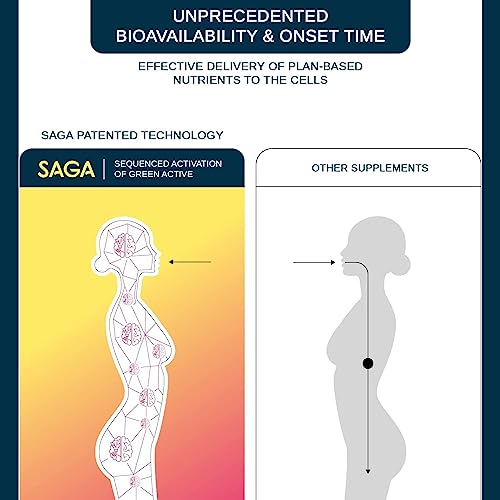 Saga Surge Mushroom Drink Energy Shot - Pre Workout Mood Boosting Supplement Shot - Kava & Berry Blast Organic Energy Drink - Lion's Mane Liquid Vegan Boost Drink For Immune Support & Energy - 6 Pack #TOP3