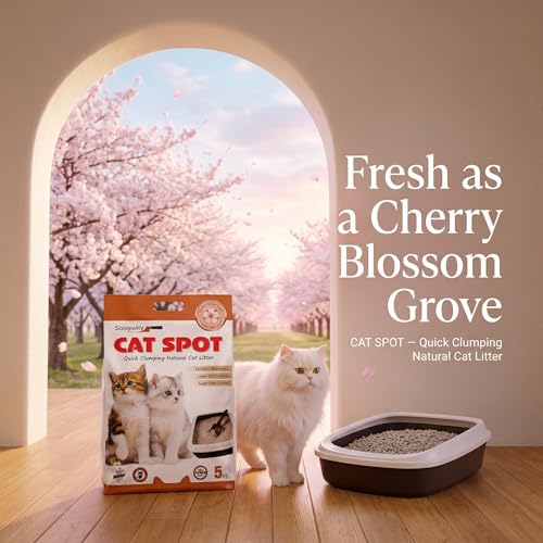 Image of CatSpot Dream Flower Scented Cat Litter - 5kg | Ultra Absorbent, Quick Clumping, Odor Control, Dust-Free Formula for Cats (Pack of 3)