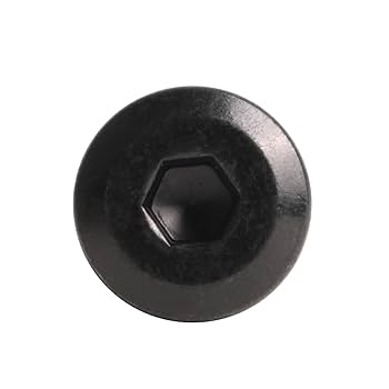 Riyhch 100 PCS 1/4-20 x 3/4