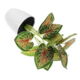 begonia rex putz Plantes artificielles - la fausse plante en pot a l'air et peut apporter de la vie verte et de la fraîcheur à votre espace, petites plantes artificielles