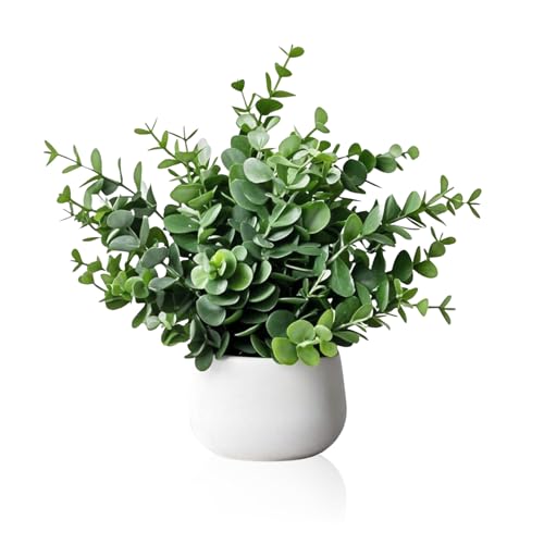 [RUNO] tFCNO[  ϗtA tFCN ~j   CeA 3_Zbg ([J)