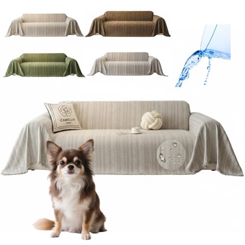 Lifetips `iChihuahuaj \t@[Jo[ k  􂦂 h }`Jo[ 2l| 3l| It IȂ ~ Eh~ LΉ lGʗp iO[j i130180CMj