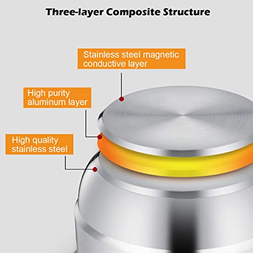 COSTWAY 3-Tier Stainless Steel Steamer, 11'' Multi-Layer Cookware Pot with Handles on Both Sides, with Tempered Glass Lid, Work with Gas, Grill Stove Top, Dishwasher Safe, Includes 2 Steaming Septa