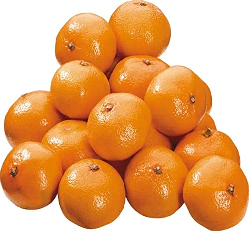 tegut… Clementinen 750 g