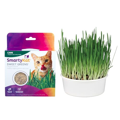SmartyKat Sweet Greens Organic Oat Grass All-in-One Cat Grass Grow