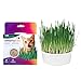 SmartyKat Sweet Greens Cat Grass Kit