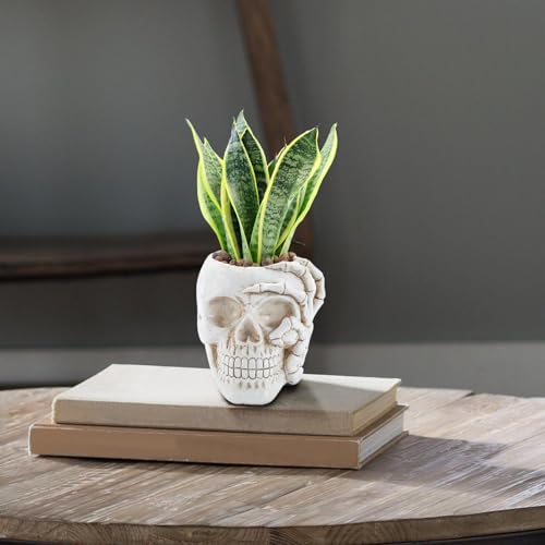 Pot de fleurs tête de mort en résine, l'idée cadeau vacances et maison