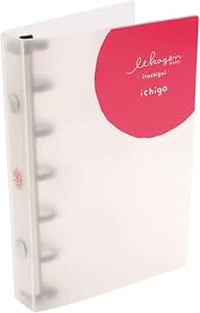 41VEJK9JJiL._AC_UF350,