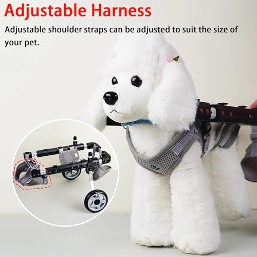 Fauteuil roulant pour chien et chat : offrez une seconde liberté - 5