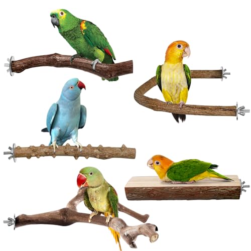 Bird Perches, 5pcs Natural Wood Birds Stand Branch, Bird Perch Chewing Stick Cage Accessories Parrot Climbing Standing Branches Paw Grinding Fork Sets for Cockatiels Ringneck Parrots - image 8