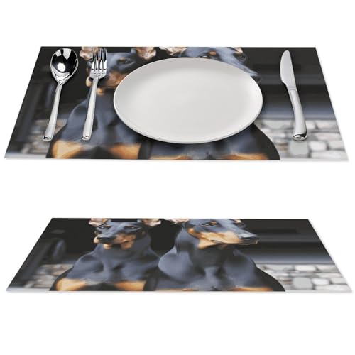 Sets de table de qualité supérieure Doberman, l'élégance durable en PVC - 2